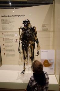 Hall of Human Origins at Natural History Museum Hall of Human Origins at Natural History Museum