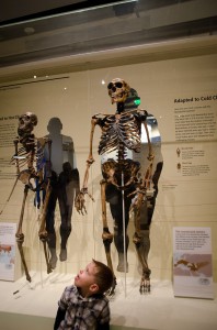 Hall of Human Origins at Natural History Museum Hall of Human Origins at Natural History Museum